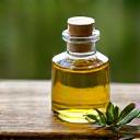 Κλαδί ελιάς και ελαιόλαδο, συμβολίζοντας την υγιεινή μεσογειακή διατροφή